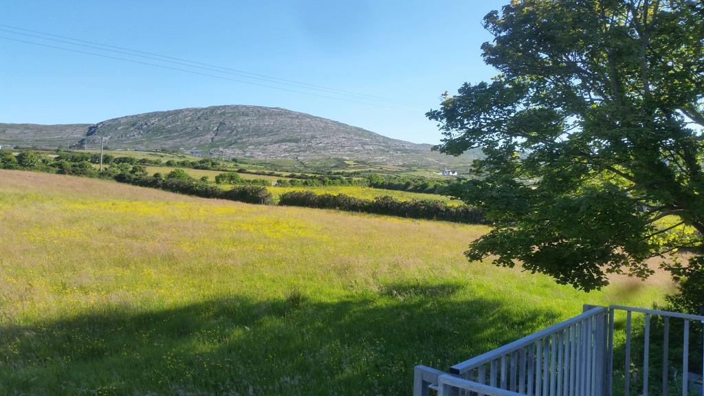 Bridge View House B&B And Restaurant Kilcrohane Esterno foto